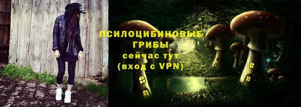 прущий лед Аркадак