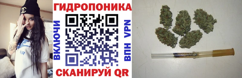 наркошоп  Белозерск  Бошки Шишки ГИДРОПОН 